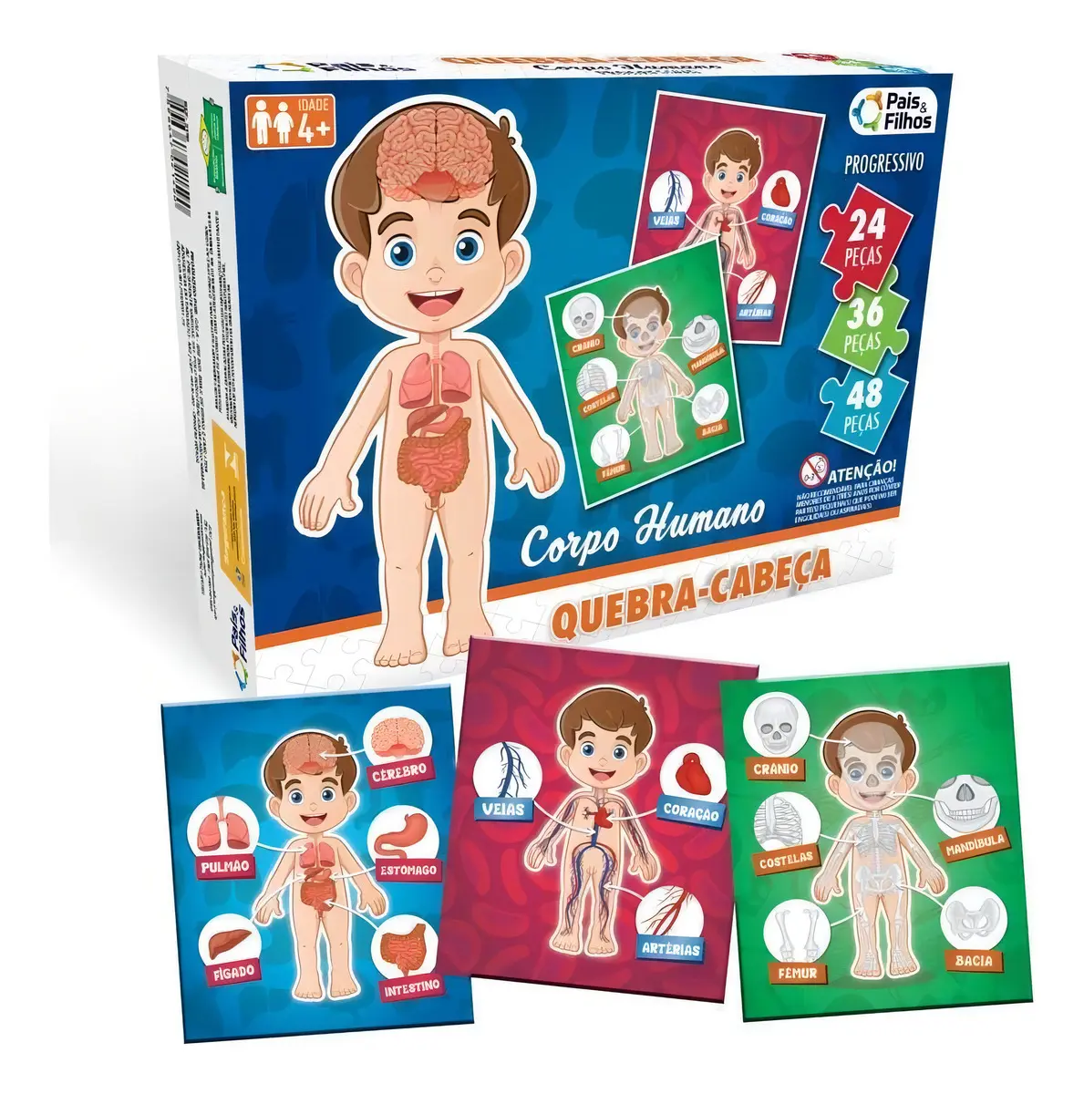 Quebra-cabeça do corpo humano